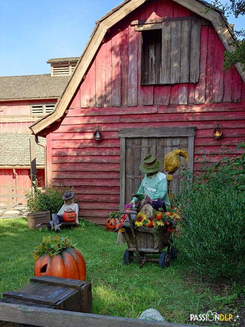 décor halloween critter corral