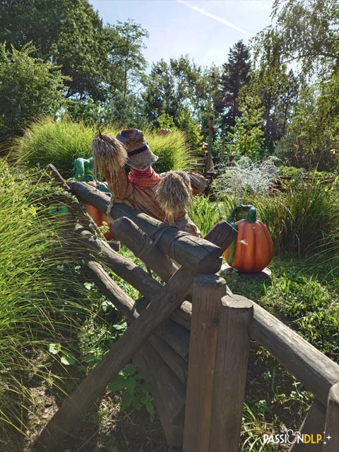 décor halloween critter corral