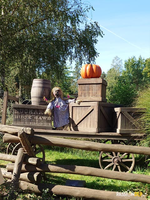 décor halloween critter corral