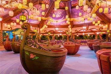 attraction Raiponce Tangled Spin